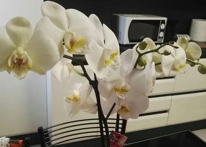 Al Vecchio Castello Appartamento Verona