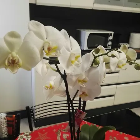 Al Vecchio Castello Apartmán Verona